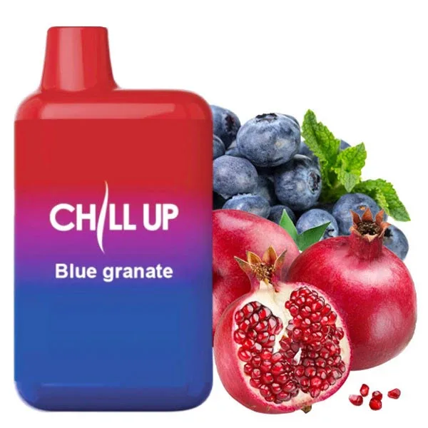 Chill Up 4000 Blueberry Pomegranate (Чорниця Гранат)
