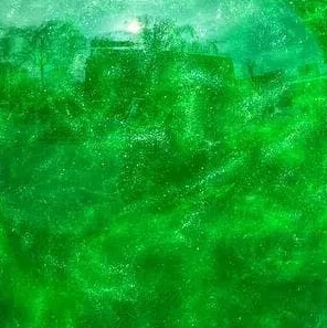 Барвник для води Hookah Heart №12 Green Apple 2