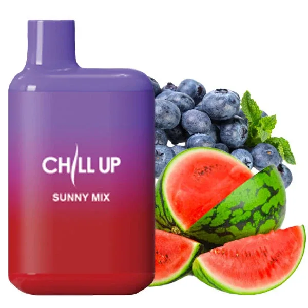 Chill Up 4000 Blueberry Watermelon (Чорниця Кавун)