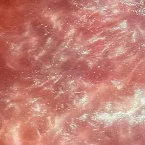 Барвник для води Hookah Heart №16 Pink 2